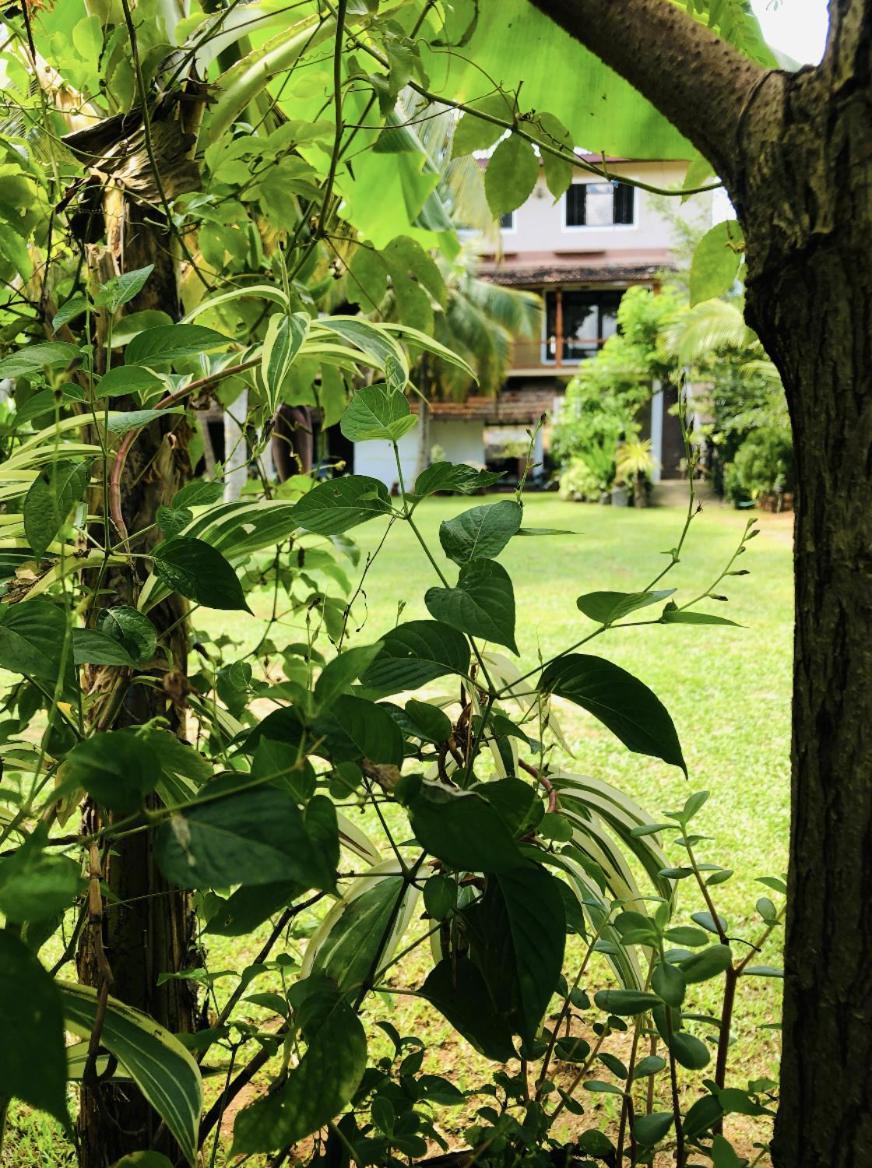 Candle House Kalutara Kültér fotó